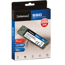 Intenso Top Performance 256GB [2280/M.2]