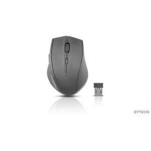 Speedlink Calado Silvent Wireless mouse Black