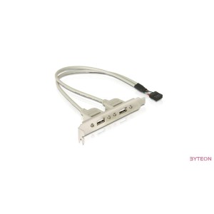 USB slot - USB2.0 x2 - DeLock