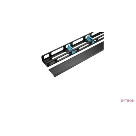 WP 42U vertical cable management with cap for RNA & RSB 800mm wide rack