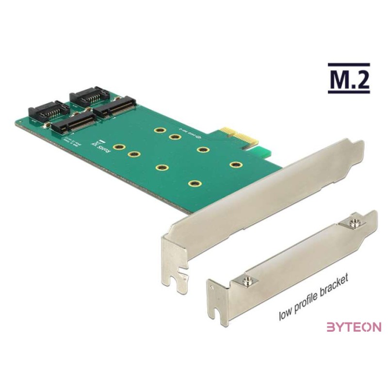 DeLock PCI Express Card  2x internal M.2 Key B 110mm Low Profile Form Factor