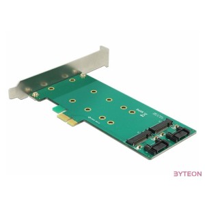 DeLock PCI Express Card  2x internal M.2 Key B 110mm Low Profile Form Factor