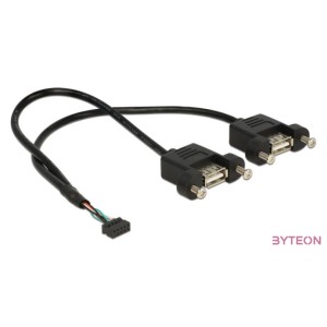 DeLock Cable USB 2.0 pin header female 2.00 mm 10 pin  2x USB 2.0 Type-A female panel-mount 25cm