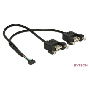 DeLock Cable USB 2.0 pin header female 2.00 mm 10 pin  2x USB 2.0 Type-A female panel-mount 25cm