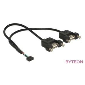 DeLock Cable USB 2.0 pin header female 2.00 mm 10 pin  2x USB 2.0 Type-A female panel-mount 25cm