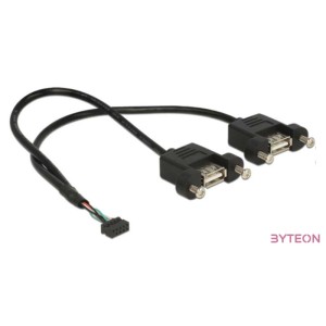 DeLock Cable USB 2.0 pin header female 2.00 mm 10 pin  2x USB 2.0 Type-A female panel-mount 25cm