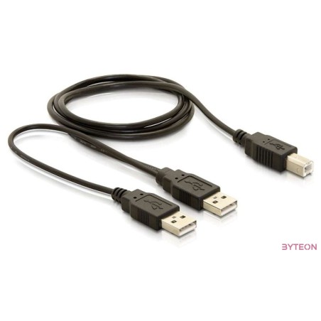 DeLock USB 2.0-B  USB-A power + power,data cable