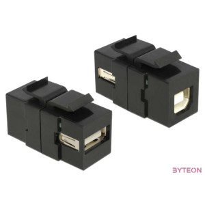 DeLock Keystone module USB 2.0 A female  USB 2.0 B female Black