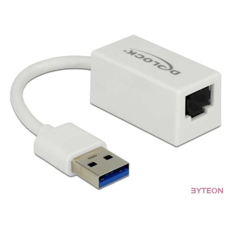 DeLock SuperSpeed USB3.1 Type-A male  Gigabit LAN 10,100,1000 Mbps compact Adapter White