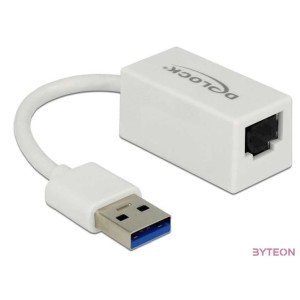DeLock SuperSpeed USB3.1 Type-A male  Gigabit LAN 10,100,1000 Mbps compact Adapter White