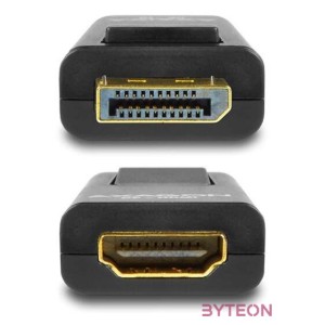 AXAGON RVD-HI DisplayPort  HDMI Adapter