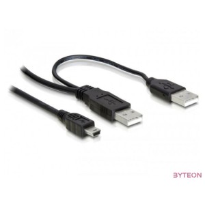 DeLock Cable 2 x USB2.0-A male  USB mini 5-pin 1m