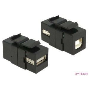 DeLock Keystone module USB 2.0 A female  USB 2.0 B female Black