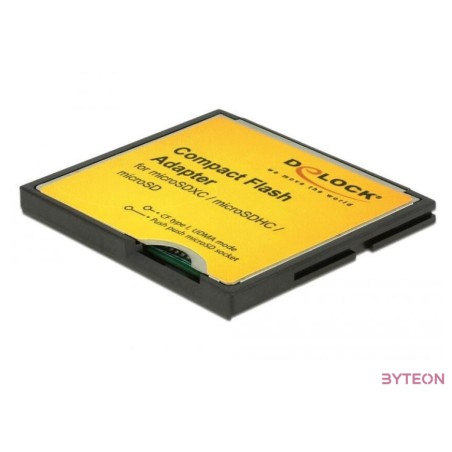 DeLock Compact Flash Adapter for Micro SD Memory Cards