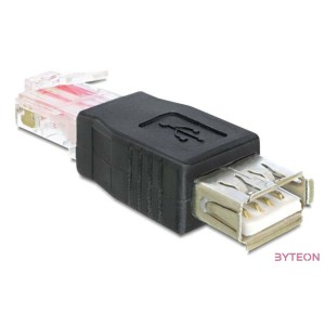 DeLock Adapter USB female  RJ45 male