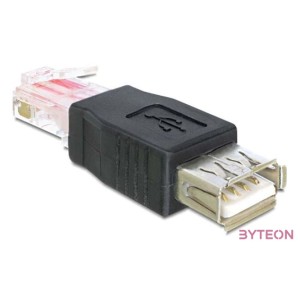 DeLock Adapter USB female  RJ45 male