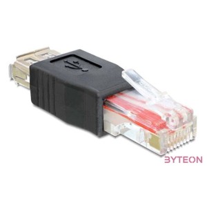DeLock Adapter USB female  RJ45 male