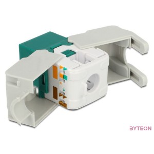 LAN Delock 86349 Keystone modul RJ45 aljzat - LSA Cat6 UTP - Zöld