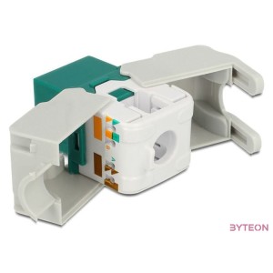 LAN Delock 86349 Keystone modul RJ45 aljzat - LSA Cat6 UTP - Zöld