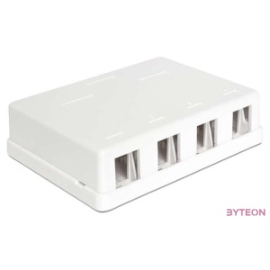 LAN Delock 86208 Keystone 4 portos falra szerelhető doboz