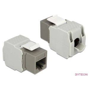 LAN Delock 86342 Keystone modul RJ45 anya  LSA Cat6 UTP - Szürke