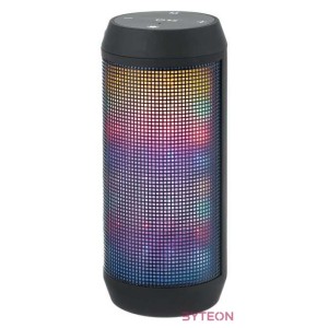 Esperanza EP133K hangszóró