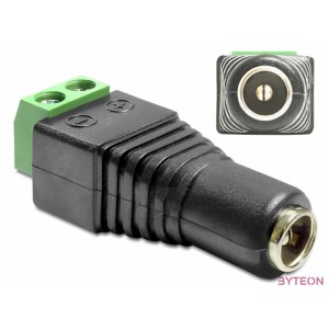 Delock DC 5,5x2,5mm - Terminal block 2pin F,F adapter fekete