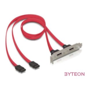 Delock 2db SATA - 2db eSATA F,F hátlapi kivezetés 0.45m