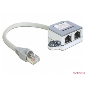 Delock RJ45 - 2db RJ45 M,F adapter (1x Ethernet, 1x ISDN)  szürke