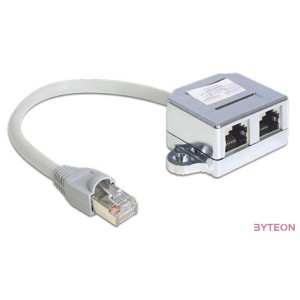 Delock RJ45 - 2db RJ45 M,F adapter (1x Ethernet, 1x ISDN)  szürke
