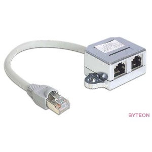 Delock RJ45 - 2db RJ45 M,F adapter (1x Ethernet, 1x ISDN)  szürke