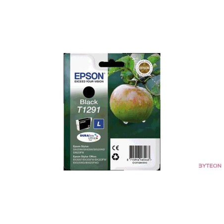 Epson T1291 - Fekete