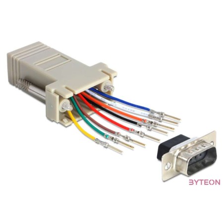Delock D-SUB 9pin - RJ45 CAT5 UTP M,F adapter szet (szerelő készlet)