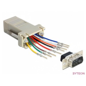 Delock D-SUB 9pin - RJ45 CAT5 UTP M,F adapter szet (szerelő készlet)