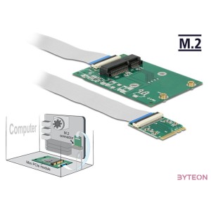 Delock M.2 AE - Mini PCI Express (IDE) M,F adapter