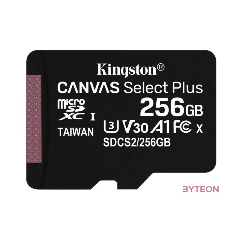 Kingston 256GB microSDXC Canvas Select Plus 100R A1 C10 Card  adapterrel