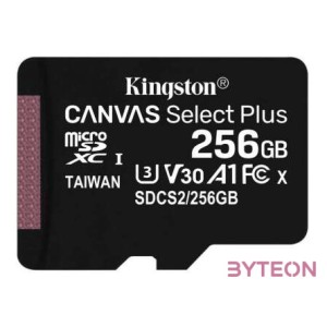 Kingston 256GB microSDXC Canvas Select Plus 100R A1 C10 Card  adapterrel