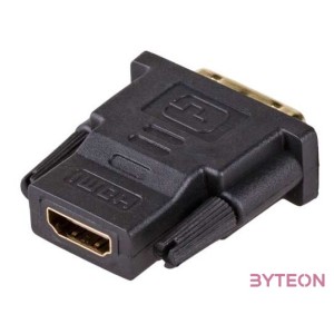 Akyga AK-AD-41 DVI-D (Dual Link) - HDMI adapter