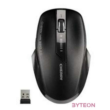 Cherry MW 2310 2.0 Wireless Black
