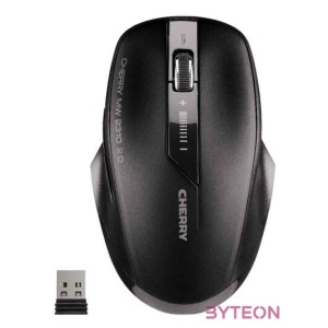 Cherry MW 2310 2.0 Wireless Black
