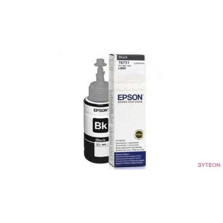 Epson T6731 - Fekete