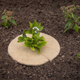 Juta növényvédő korong, 25 cm átmérőjű