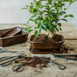 Kerámia bonsai cserépalátét, 20 cm