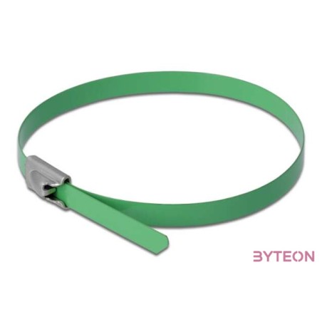 Delock Rozsdamentes Acél Kábelkötegek Hossza 200 x Szélesség 4,6 mm zöld 10 db.