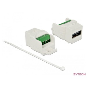 Delock Keystone modul USB 2.0 A anya sorkapocs modul, fehér