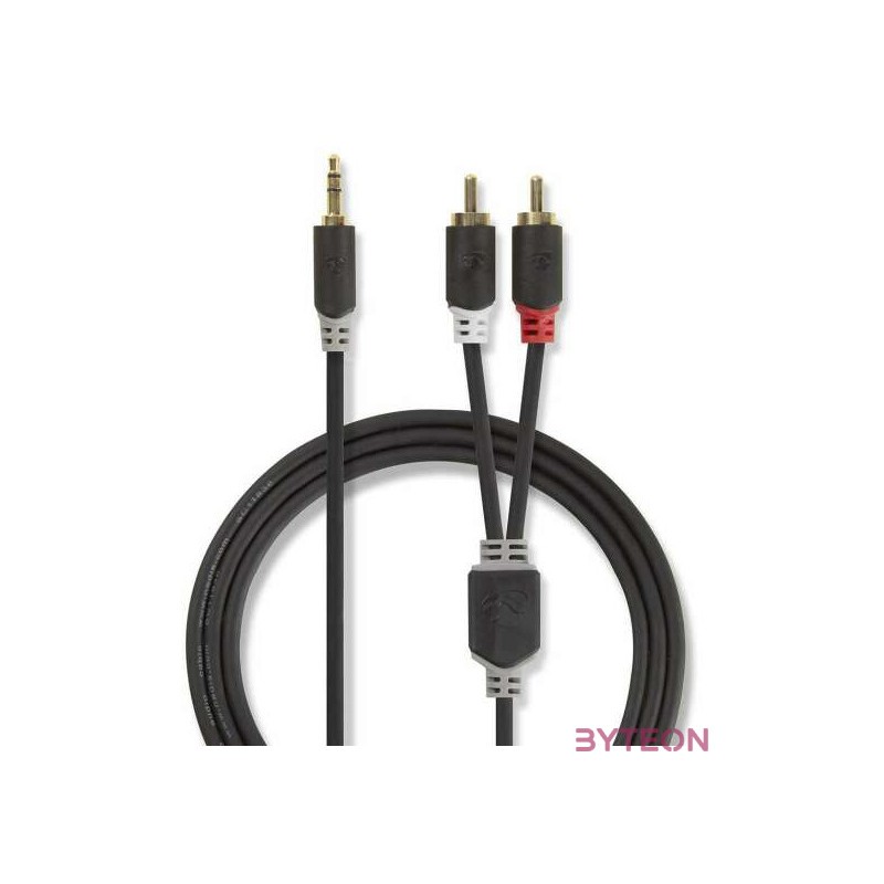 Nedis CABW22200AT100 audio kábel 10 M 3.5mm 2 x RCA Antracit