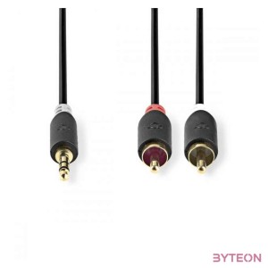 Nedis CABW22200AT100 audio kábel 10 M 3.5mm 2 x RCA Antracit