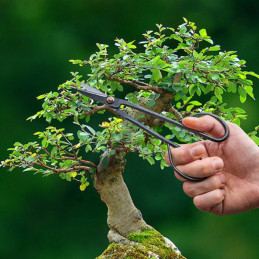 Fekete acél bonsai olló, 20 cm