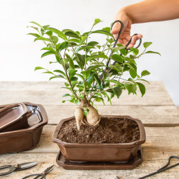 Fekete acél bonsai olló, 20 cm