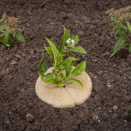 Juta növényvédő korong, 15 cm átmérőjű